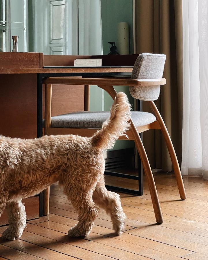 Town Hall Hotel - Shoreditch Londres Extérieur photo A dog scratching a chair